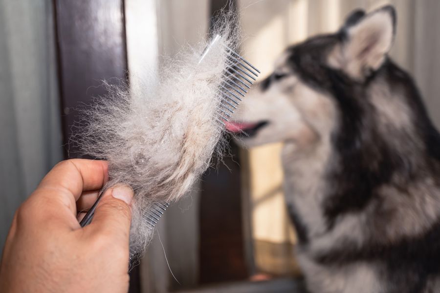 De-Shedding Treatments